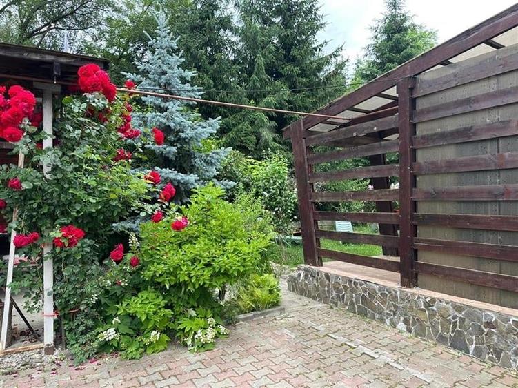 Casa deosebita in sat Podis - zona Dubas - 14