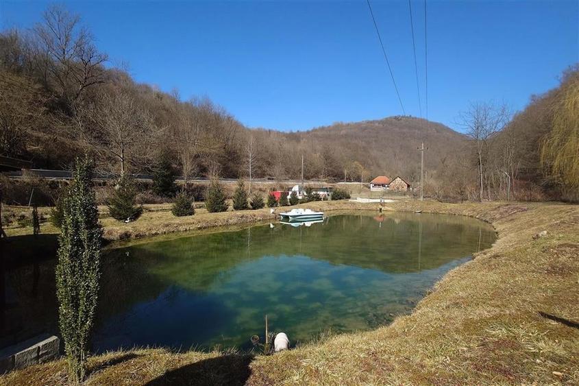 Iaz de vanzare in Apuseni- cazare, agrement si pescuit la DN74 - 3