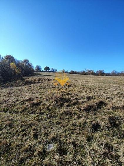 Teren de vanzare, intravilan, 16667 mp, Abrud, Jud. Alba - 1