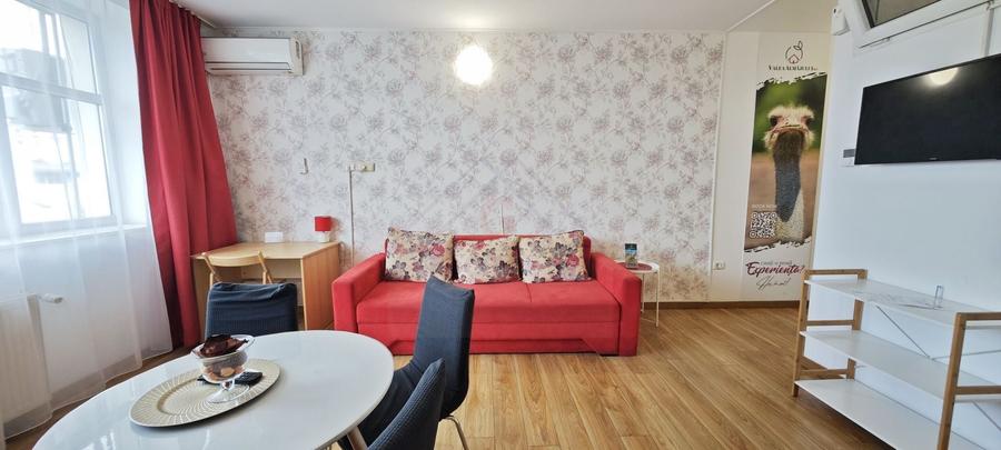 PET FRIENDLY! Apartament spatios si modern. COMPLEX STUDENTESC. - 33