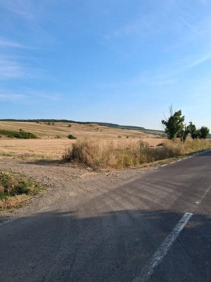 Teren de 2000 mp, în Petelea