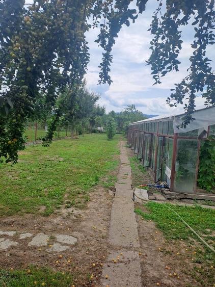 Casă cu 4 camere cu Teren 1277 Mp în Central