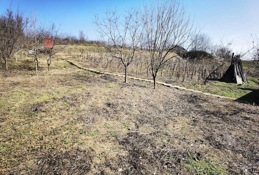 Casă cu 2 camere cu Teren 1511 Mp în Leamna de Sus