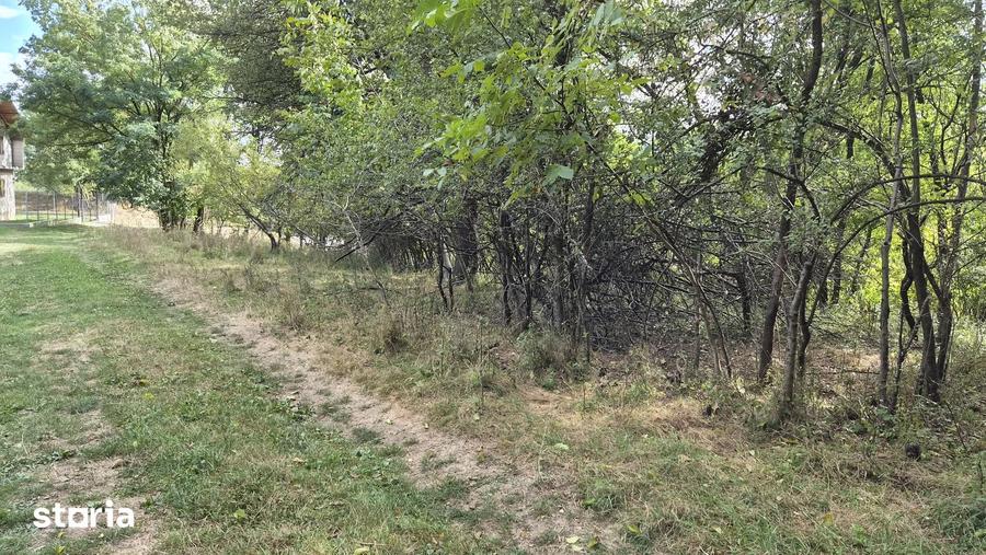 Teren de 1142 mp, în Vlădești