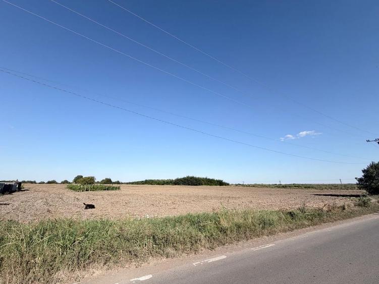 Teren 3.500 mp Gradistea Ilfov | 2.857 mp intravilan | Asfalt | 129.000 - 5