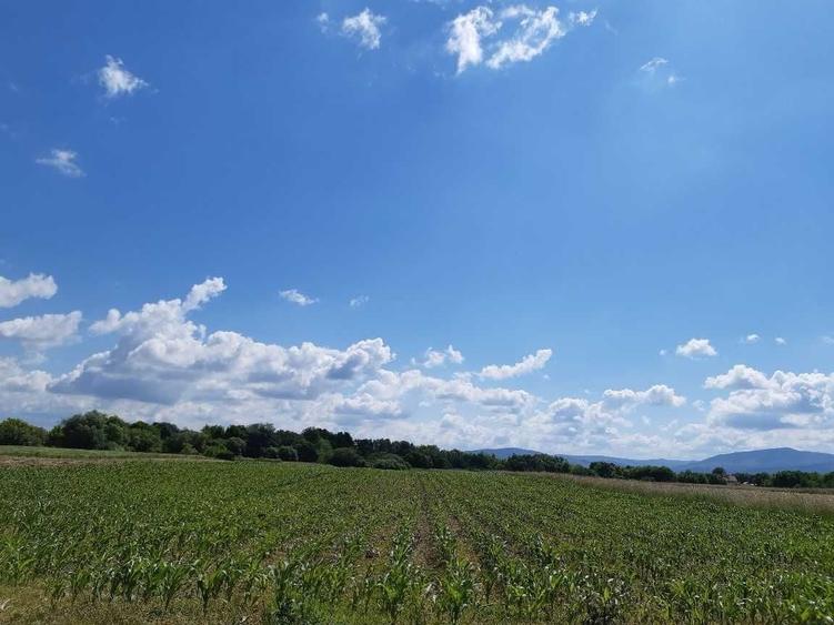 Teren de 20300 mp, în Ilieni
