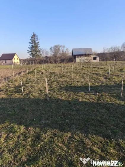 Casă cu 7 camere cu Teren 2500 Mp în Marginea