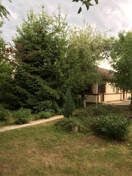 Casă individuală cu 4 camere cu Teren 2300 Mp în Siliștea Snagovului