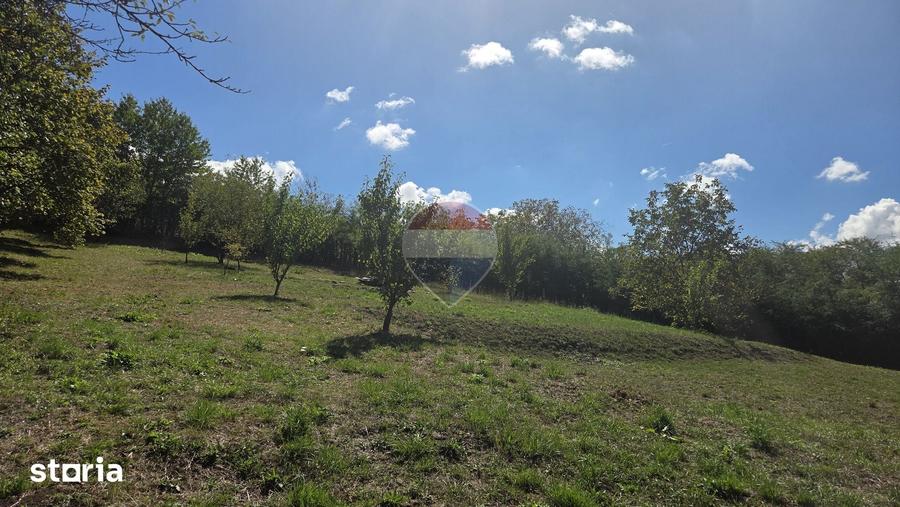 Casă cu 1 camere cu Teren 4345 Mp în Central