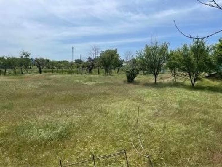 Teren de vanzare comuna Nalbant Judetul Tulcea - 6