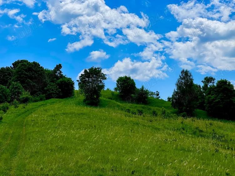 Teren în Cozieni