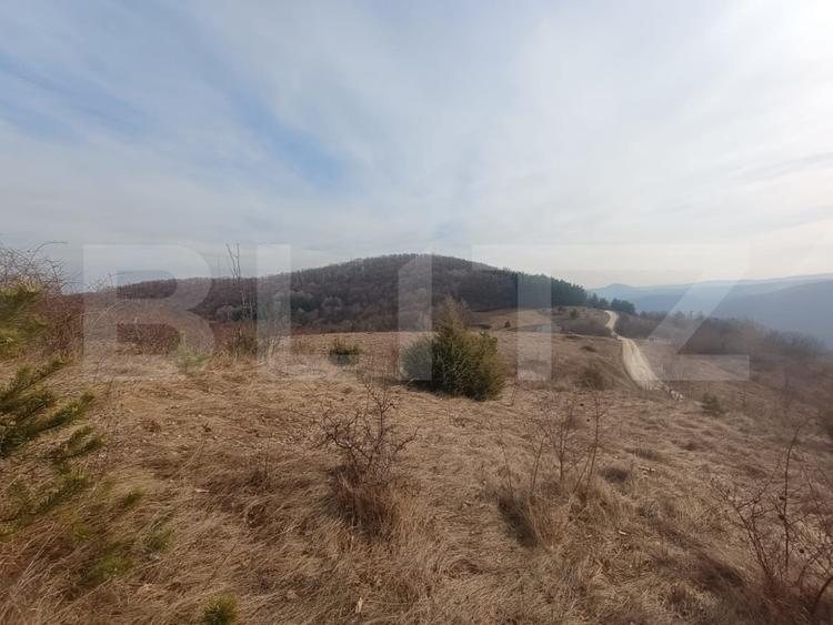 Teren Construcții extravilan de 12000 mp, în Exterior Nord