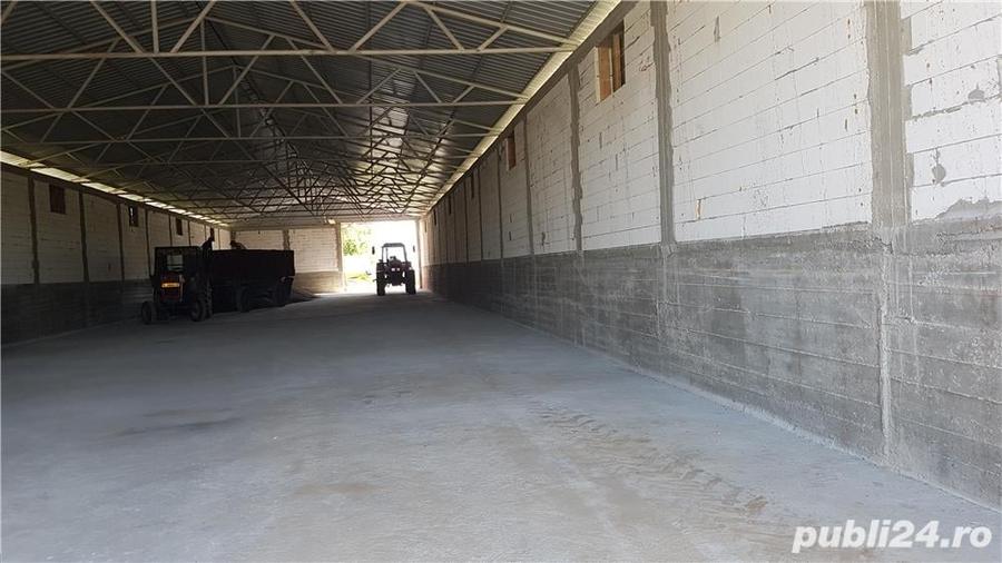 Spațiu comercial, de 20,000 mp, în Ciorani