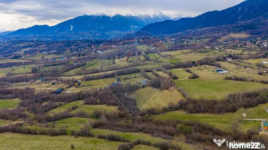 Teren în Tohănița