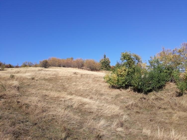 OFERTĂ SPECIALĂ! Teren intravilan de vânzare în Câmpina pe Dealul Muscel - 10