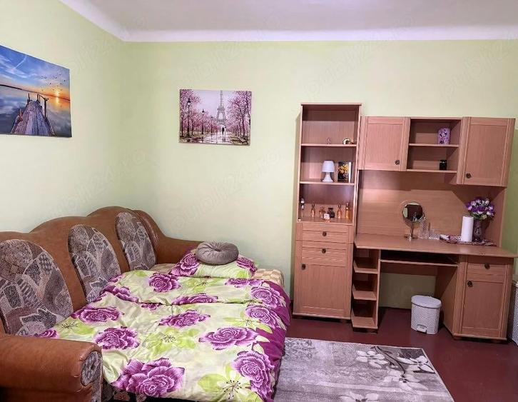 Casa de vanzare in Sabolciu - 5