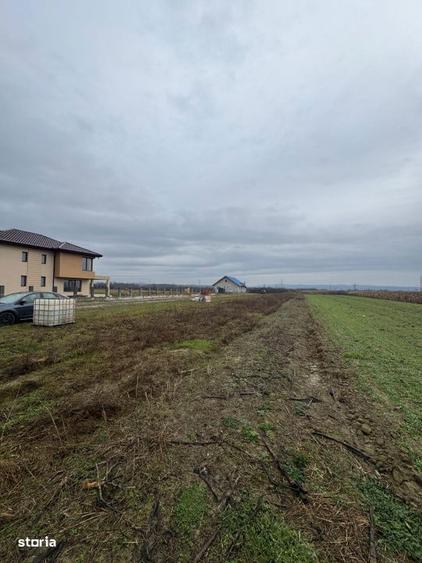 Teren Mocira 50 ari | Plan drept | Utilitati aproape | Zona in dezvolt - 1