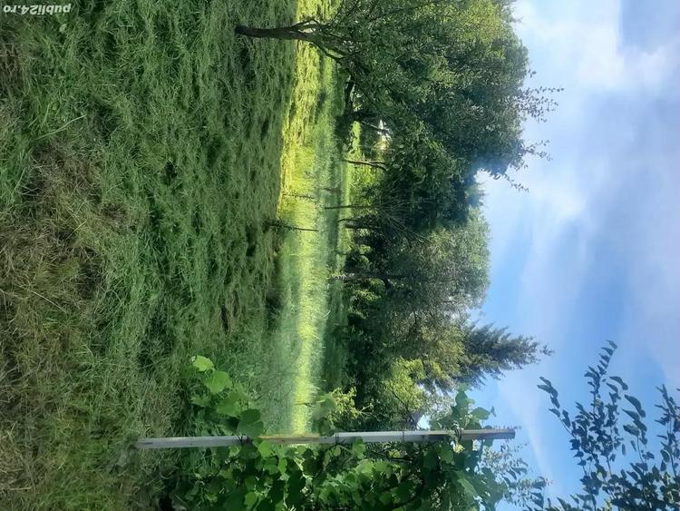 Vand casa de vacanta in Frunzeni jud. Mures - 5