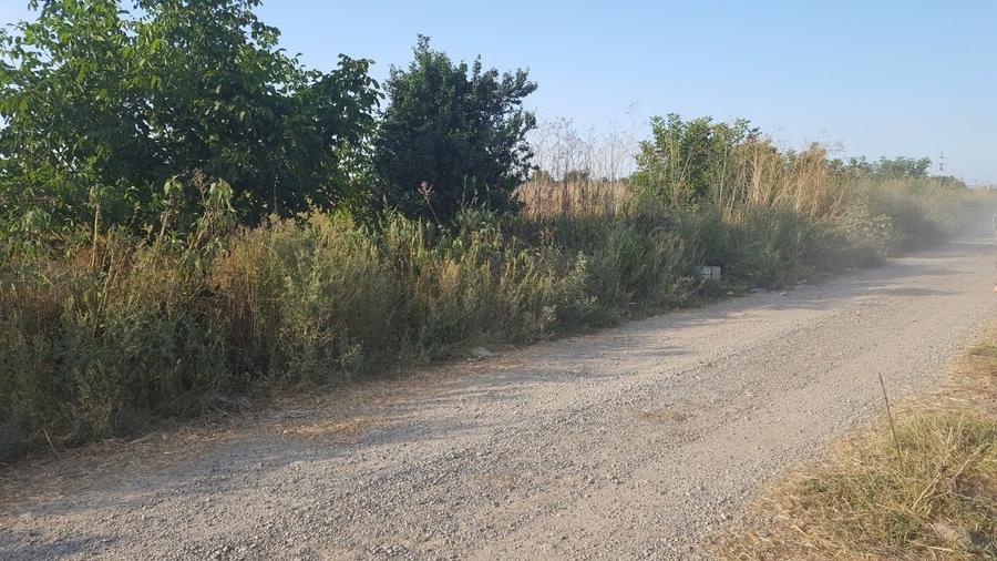 Teren intravilan, 2290mp, deschidere 21ml, in Serbanesti - 3