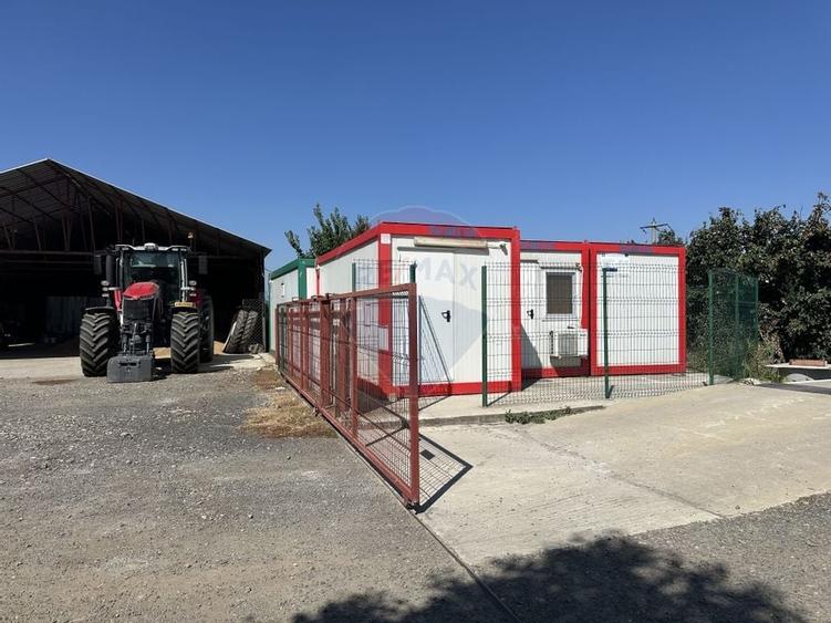 Ferma porcine la cheie - 29