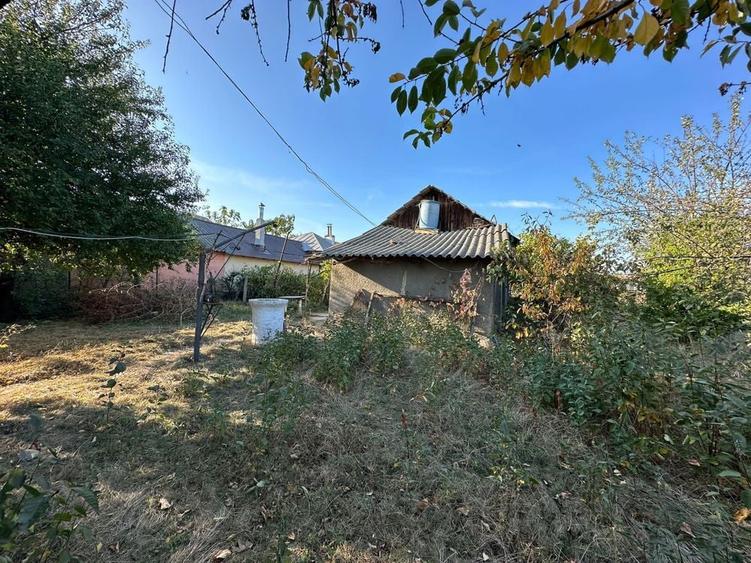 Teren intravilan + casa de locuit Fulga - 3