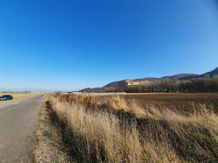 Vanzare Teren intravilan Str. Cucului, zona Bartolomeu 18600 mp - 9