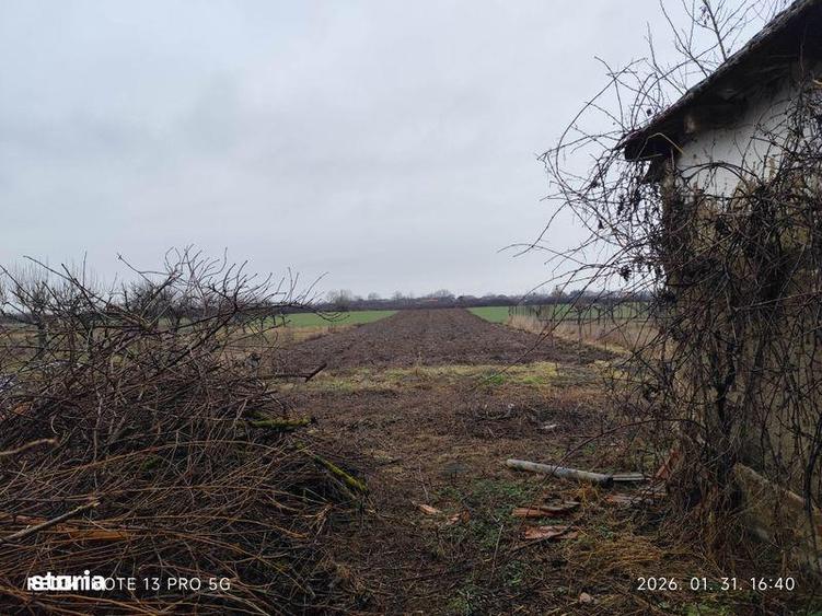 Vand teren intravilan cu casa la Salard - 3