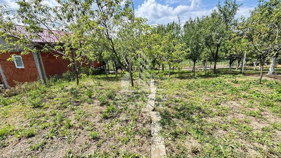 Casa spatioasa, teren 1348 mp, Giarmata - 16