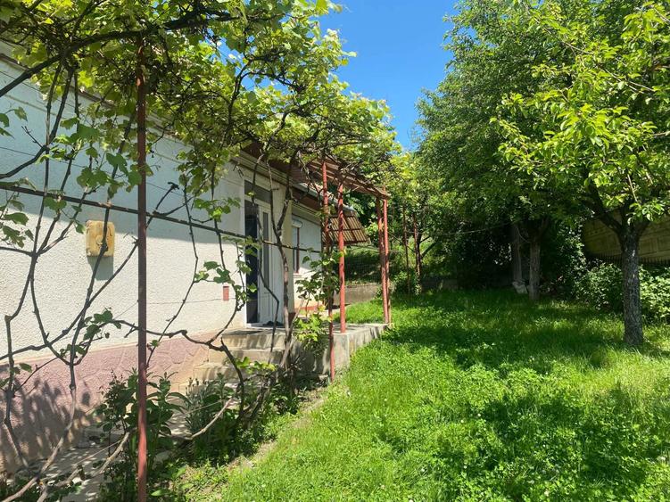 Casa de vinzare oras Ludus. - 3