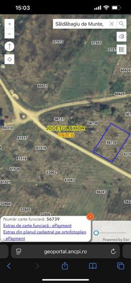 Teren Saldabagiu de Munte - 4