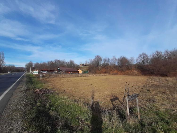 Teren 5000 mp extravilan, langa Pastravaria Cracaoani, 4 euro neg - 3