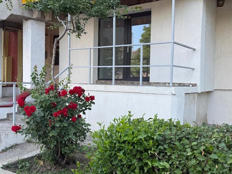 Spatiu comercial de inchiriat - 1