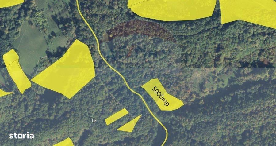 Poiana pentru cabana de vanzare intravilan Coas - 6