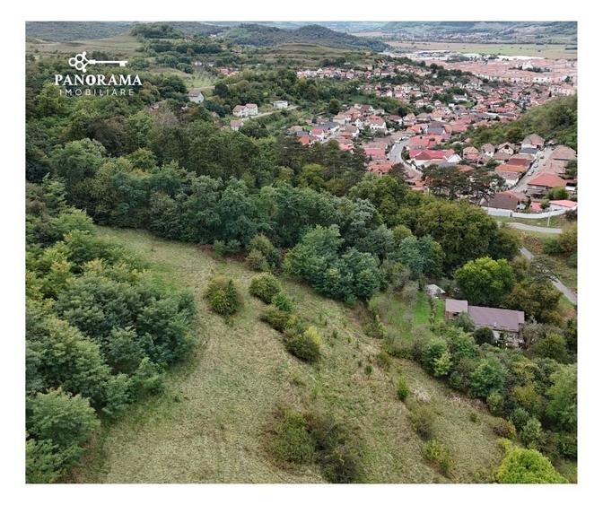 Teren intravilan de aproape 3 ha la liziera pădurii | cartierul Gloria - 7