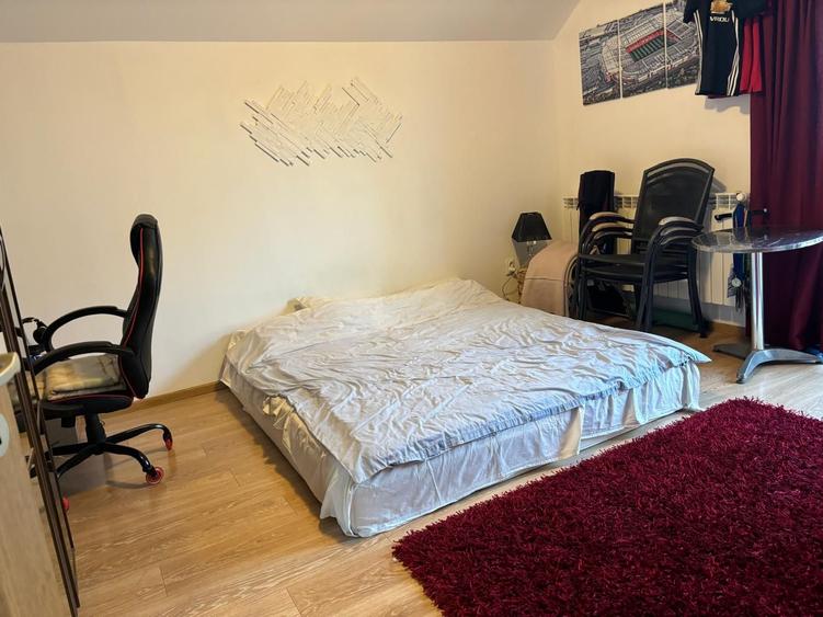 Casa cu 5 camere in zona Nicolina - T. Neculai - 6