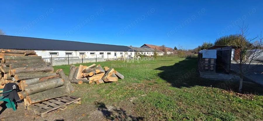 Teren de vanzare, Albesti, Sighisoara