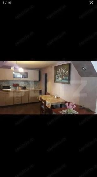 Doua case intr-o curte de 952 mp, Paleu-liniste, spatiu, potential langa Oradea - 2