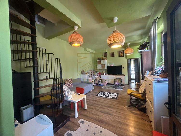 Vanzare - Proprietate cu Potential-Locuinta si Business - 29