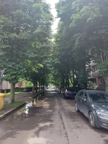 Timocului apartament cu o camera - 1