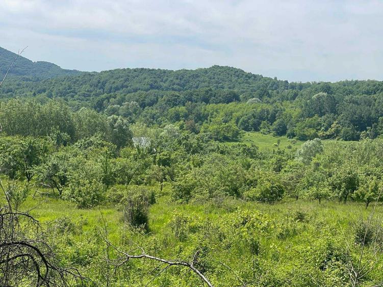 Teren de vanzare, peisaj superb, aproape de autostrada Pitesti-Sibiu - 1