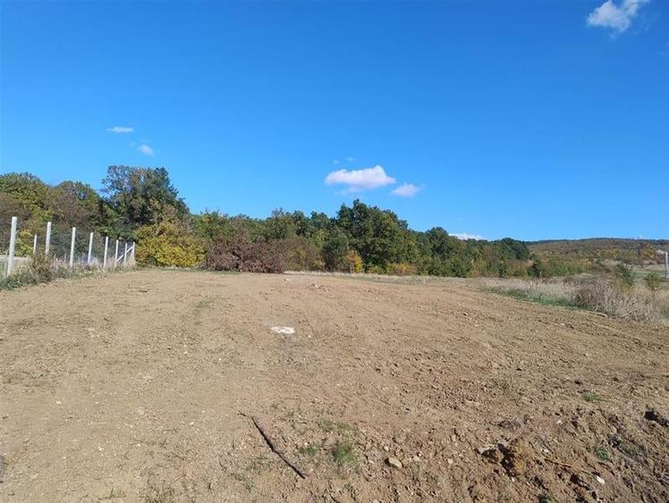 RECO Teren intravilan Betfia - 3