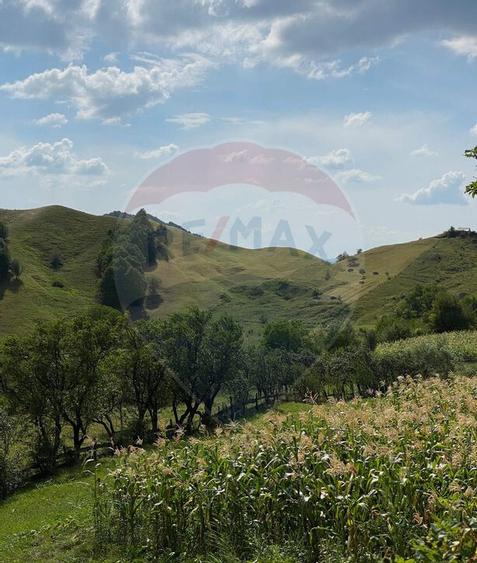 DE VANZARE Pensiune | 12 camere | Bisoca / Buzau - 10