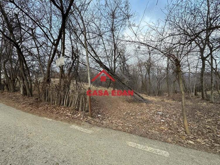 Teren intravilan in Cornu--3074m--90.000e - 9