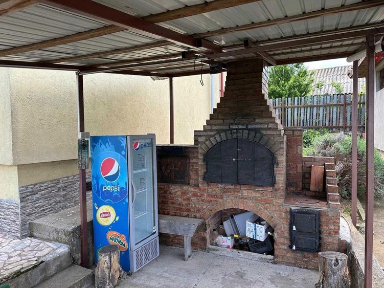 Casa cu iesire la lac | 2.453 mp teren | Panouri fotovoltaice 9 kW, sat Naipu judet Giurgiu - 7