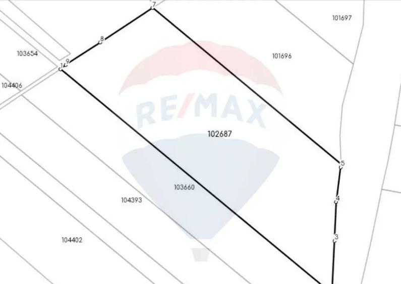 Teren de vanzare Halchiu 80.000 MP - 7