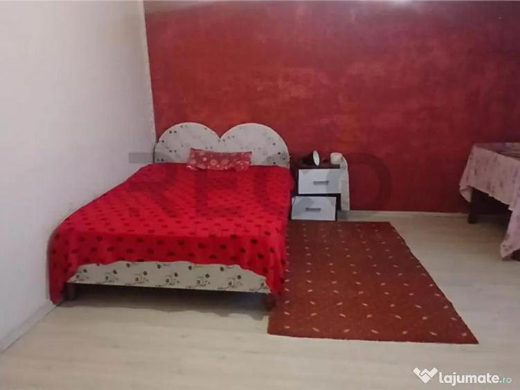 RECO Casa la tara intr-o zona pitoreasca, la 28km de Oradea - 10