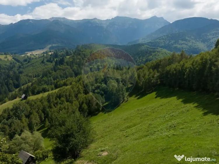 Teren Panoramic in Bran Vedere spre Bucegi & Piatra C... - 5