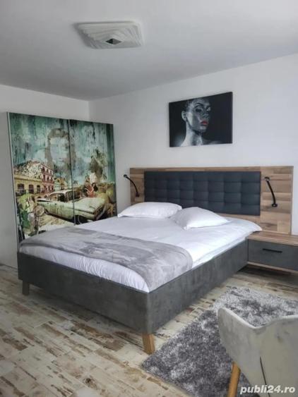 Garsoniera moderna, ideala pentru investi?ie Bradetu, Arge? | 3 stele turism - 10
