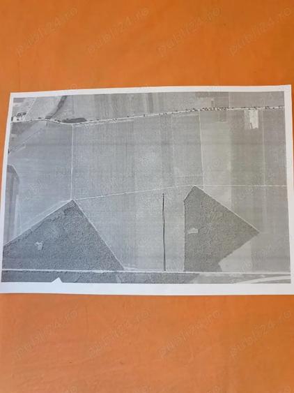 Teren Belciugatele 1,50 euro - 2