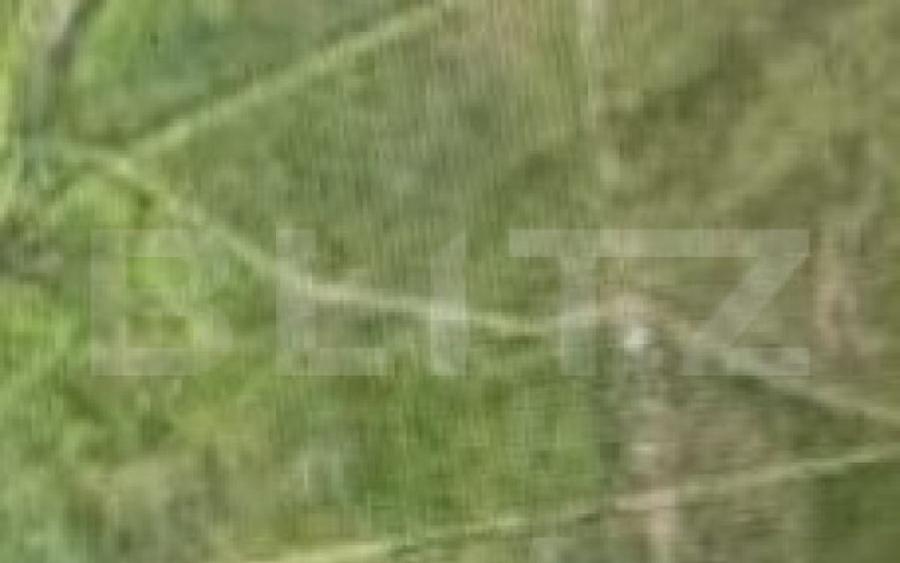 Teren 7500 mp, Schitu Duca, la DN 24 - 2